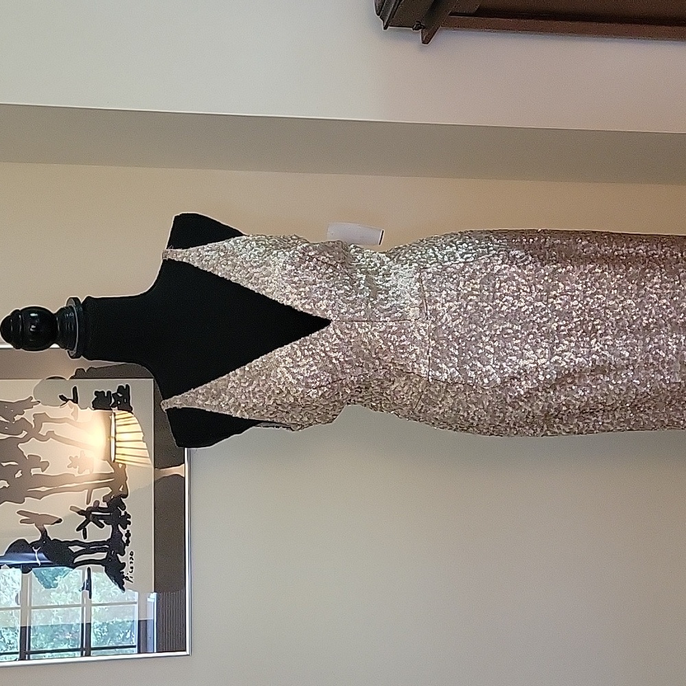 Formal Sequin Dress